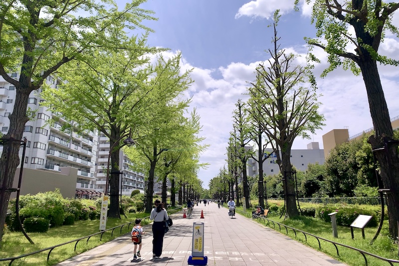 駅から「光が丘公園」まで続く並木道