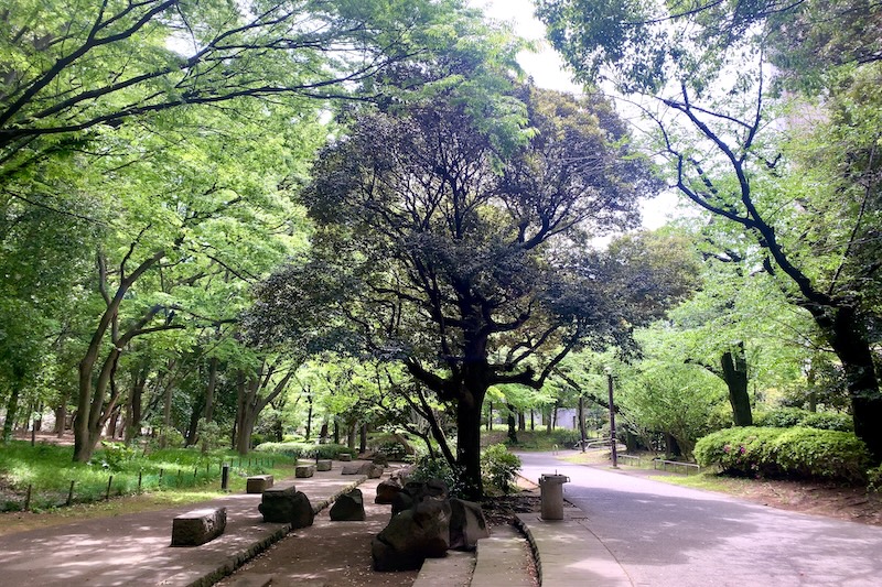 「春の風公園」のせせらぎ