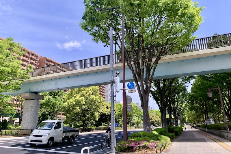 南北にのびる都道443号