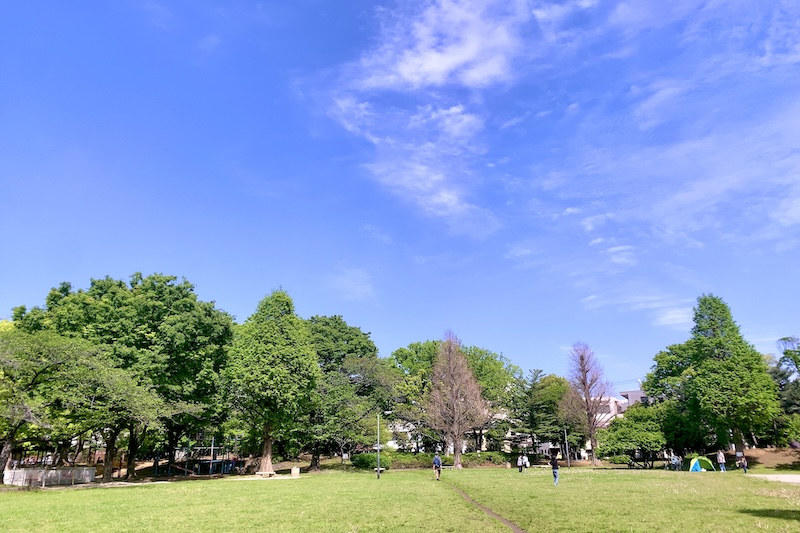 「大谷田公園」の芝生広場