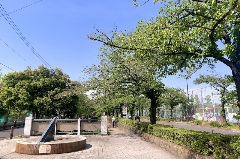 小学校前の緑道と葛西用水桜通り