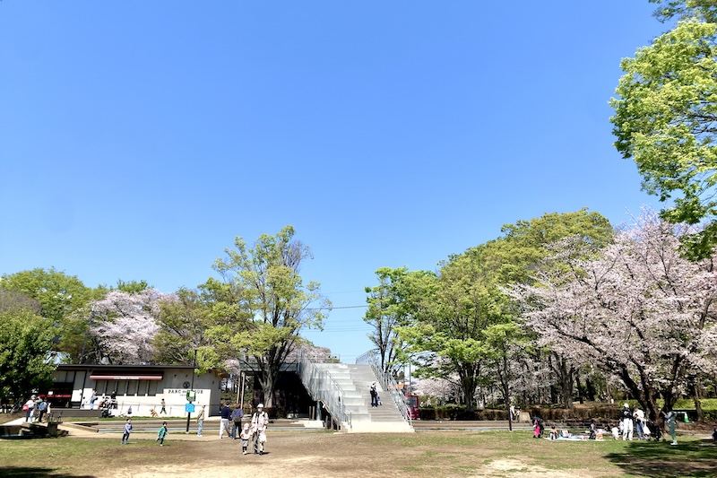 「与野公園」は桜やバラの名所