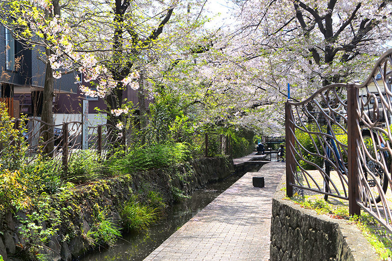 「二ヶ領用水」