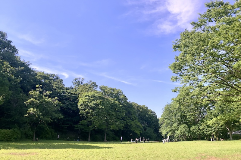 「茅ケ崎公園」の芝生広場