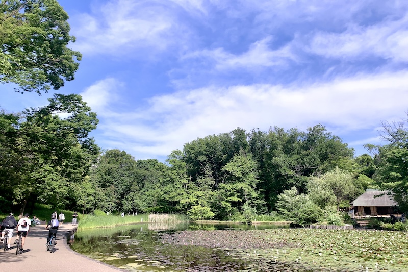 「せせらぎ公園」