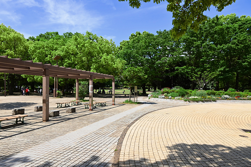 夏の雲公園