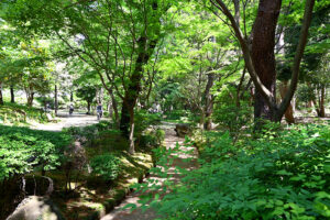 春の風公園