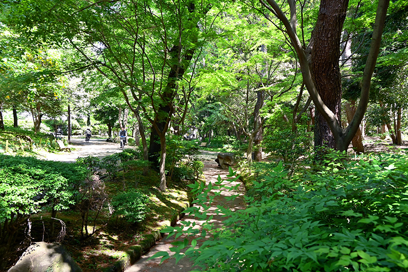 春の風公園