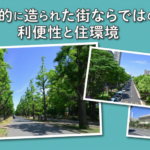 練馬区・光が丘エリアは住みやすい？利便性と緑がそろう計画都市の魅力に迫る