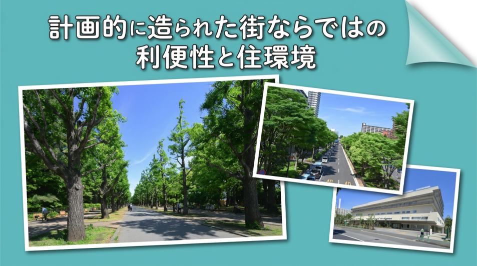 練馬区・光が丘エリアは住みやすい？利便性と緑がそろう計画都市の魅力に迫る