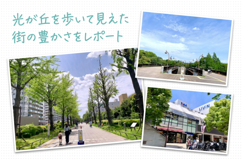 並木道の先にある日常。光が丘を歩いて見えた、街の豊かさをレポート