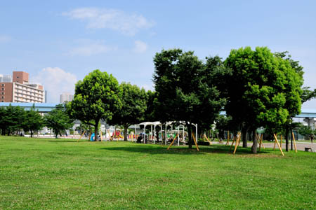 豊洲公園