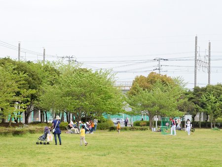 花見川緑地交通公園
