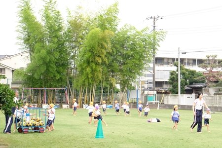 田無いづみ幼稚園　インタビュー　スポーツ