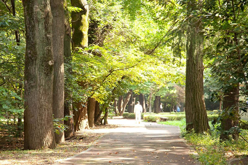 江古田の森公園