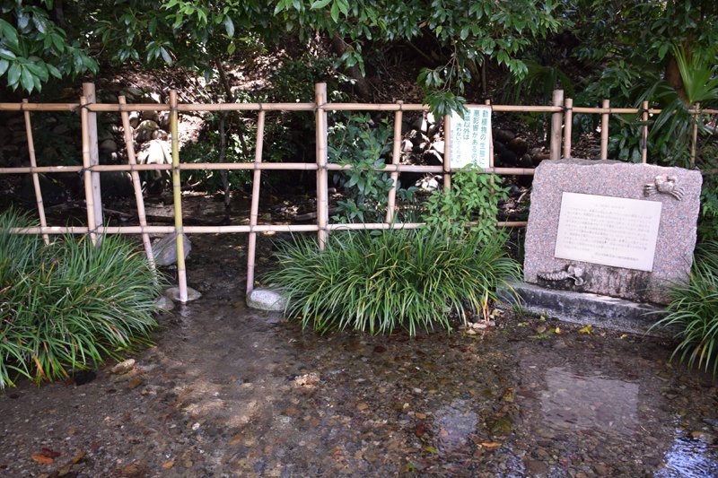 東京の名湧水にも選ばれている「ママ下湧水」
