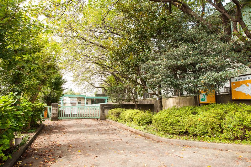 緑も鮮やかな「小平市立鈴木小学校」