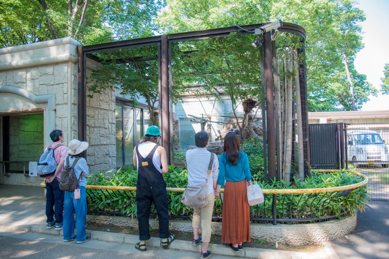 「夢見ヶ崎動物公園」