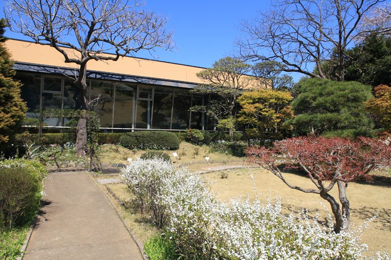 市川市文化会館のギャラリー「芳澤ガーデンギャラリー」