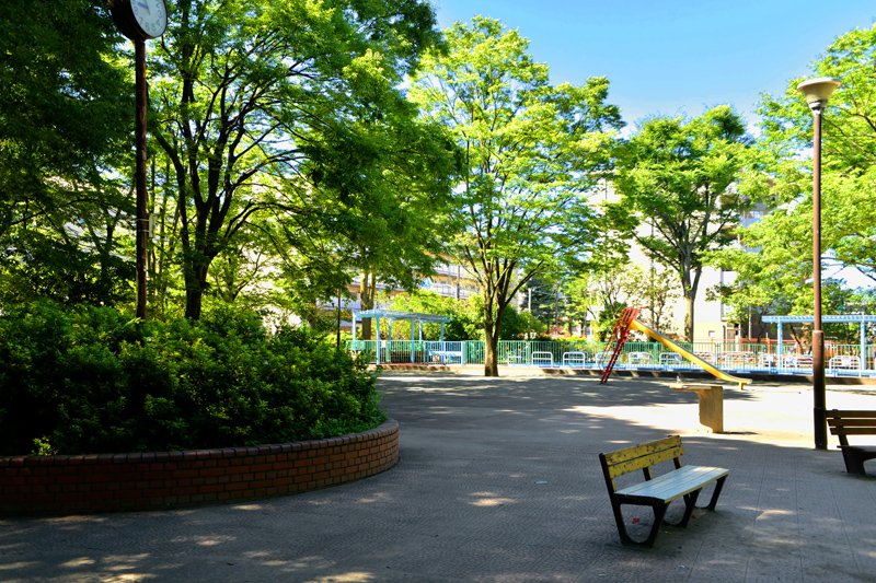 隣接する「成増北第一公園」は広場や遊具があり親子に人気。夏には「こどもの池」（プール）も開放されている。