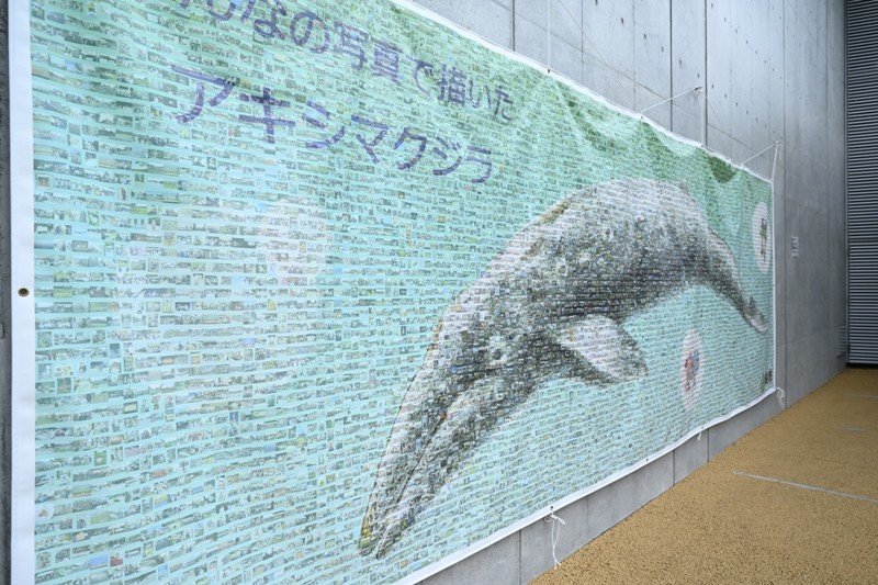 新棟の壁面には、市民の写真で作った「アキシマクジラのモザイクアート」が飾られている