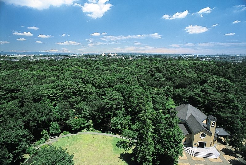 「フォレスト・イン昭和館」10階の「ラウンジ ダコタ」から見渡せる「北の森」