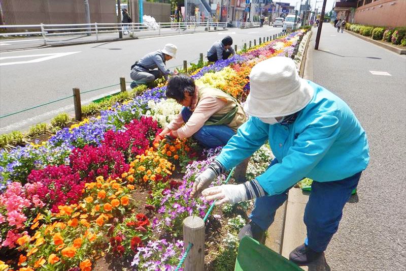地域の人々が参加する緑のボランティア　画像提供：「戸田市水と緑の公社」