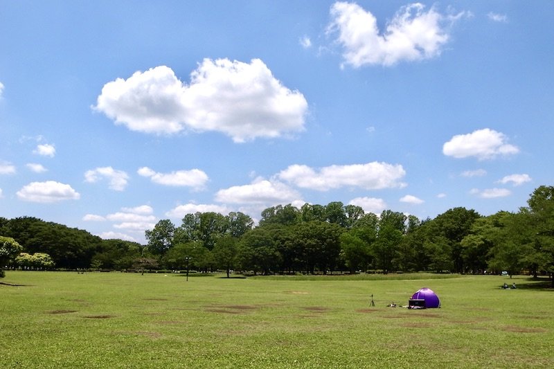 都立公園でも最大規模の「都立小金井公園」