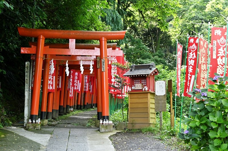 散歩にもおすすめの「佐助稲荷神社」