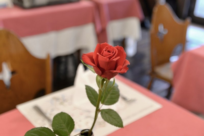 テーブルにセッティングされた一輪のバラ