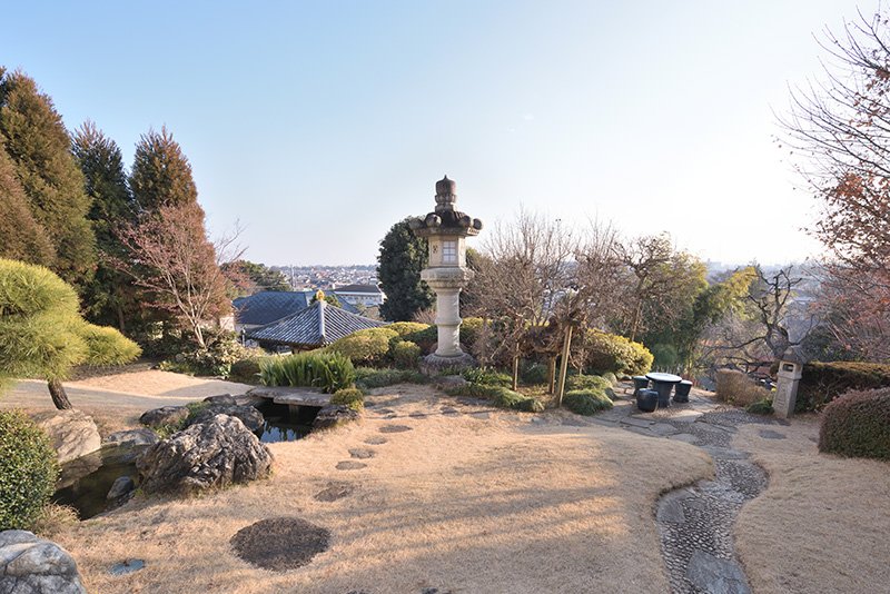 長年整えられてきた、日本庭園の様子