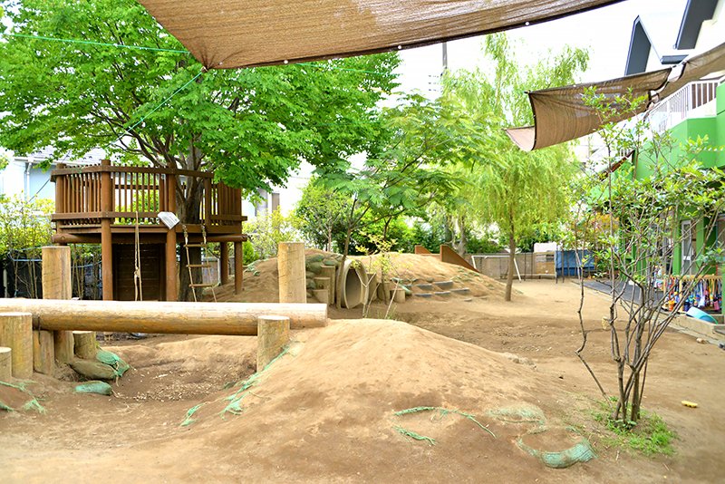 子どもたちが夢中になる大型木製遊具のある園庭