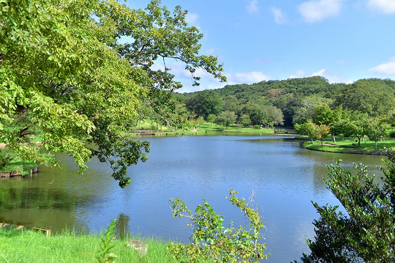 遊具や池などもある「北山公園」