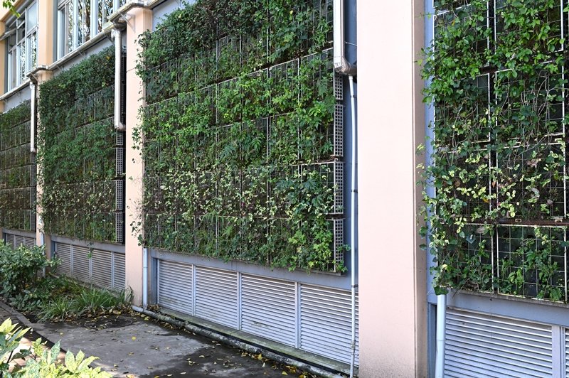体育館の壁面緑化など、さまざまな「エコシステム」を取り入れた校舎