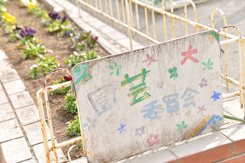 校内の多くに園芸を含めた自然が見られました