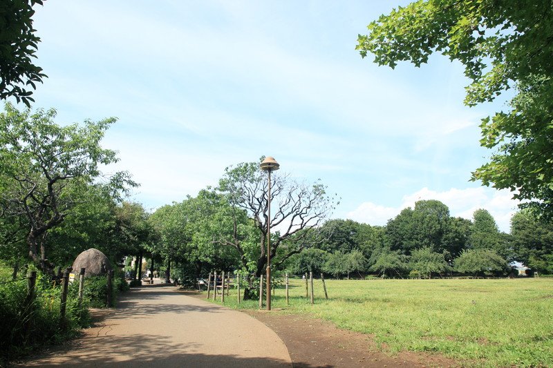 広々とした広場や遊具などがある「立野公園」