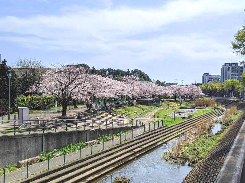 「地蔵原の水辺」（引用：「いずみくらし」）