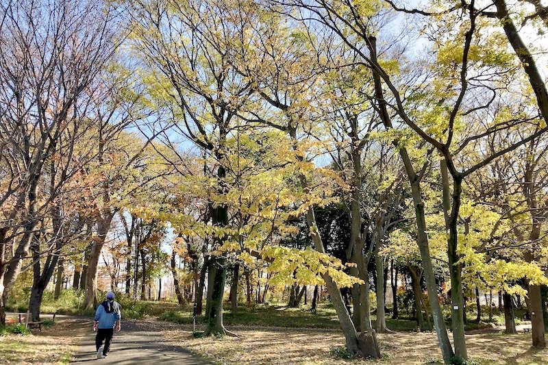 「泉中央公園」の様子