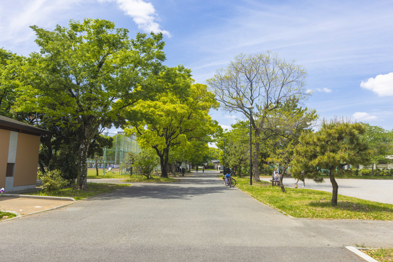 東綾瀬公園