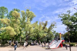 しょうぶ沼公園