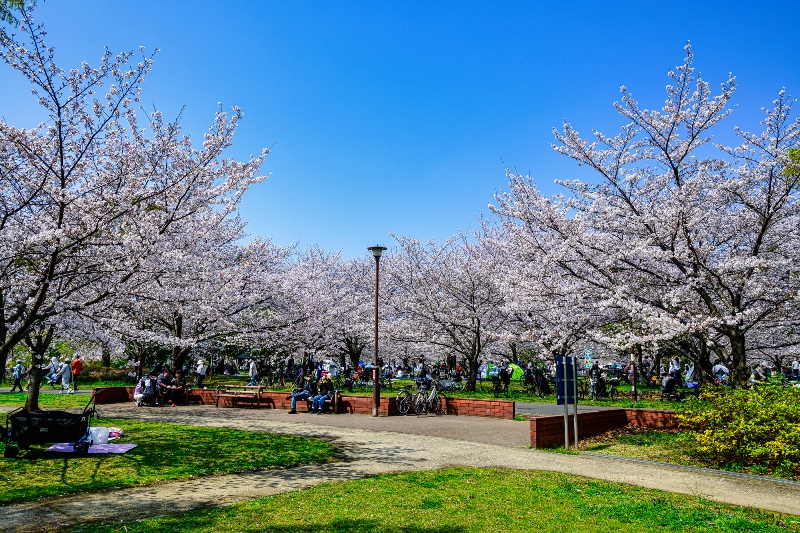 「舎人公園」