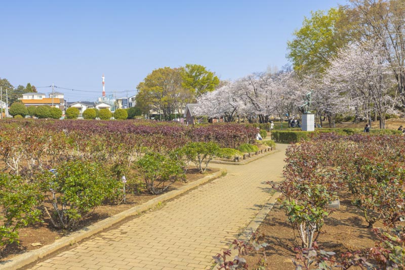 与野公園