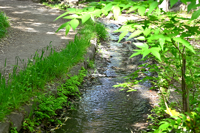 水のせせらぎが心地よい