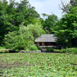 せせらぎ公園