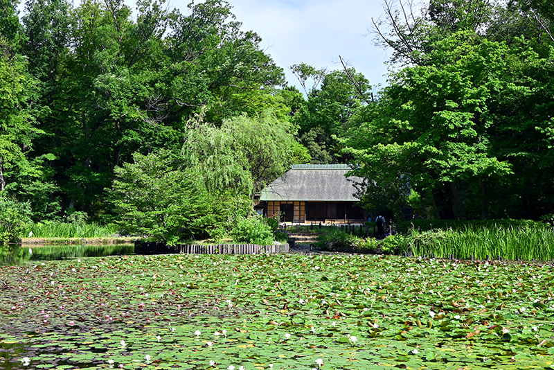 せせらぎ公園