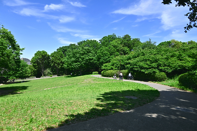 里山のような長閑な風景