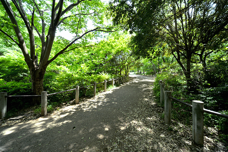 園内の様子