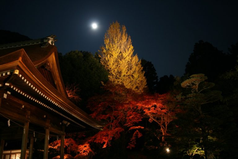 月灯りとイルミネーションで晩秋の京都・亀岡の夜の魅力を再発見。ナイトイベント「宵あかり亀岡」11/27～12/3開催（京都府亀岡市）