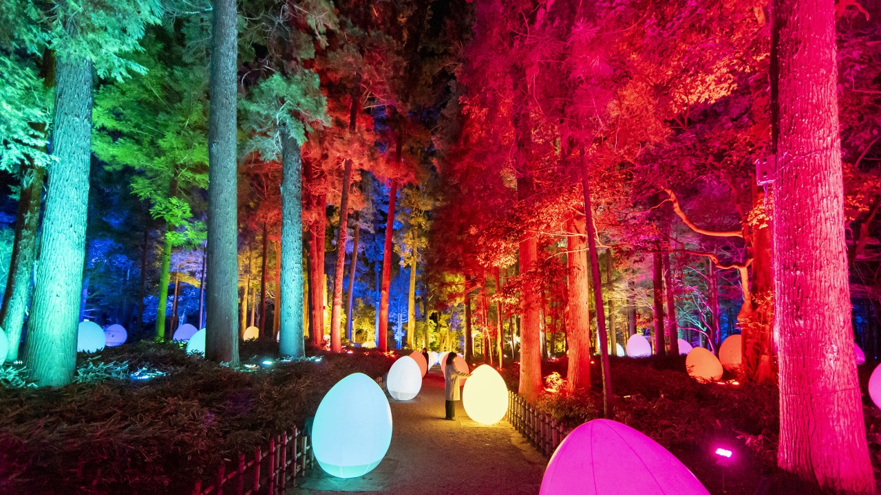 茨城県水戸に「チームラボ 偕楽園 光の祭」がオープン！偕楽園が光のアート空間に。（茨城県）