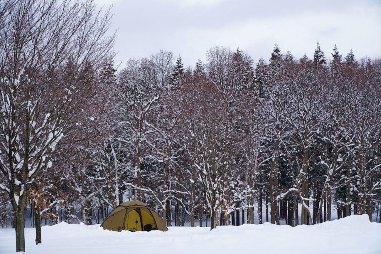 キャンプブームに厳冬のアウトドア体験「十和田湖冬キャンプ」はいかが？（青森県／秋田県）